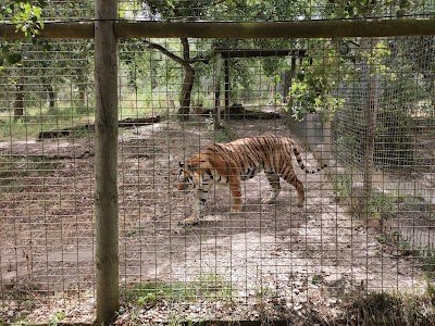 Foto de Europaradise Parque Zoológico