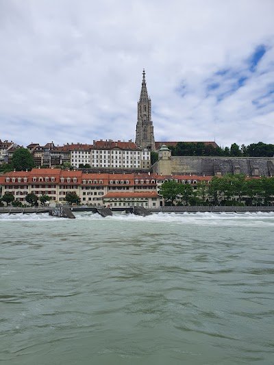 Foto de Stiftung Bärenpark Bern