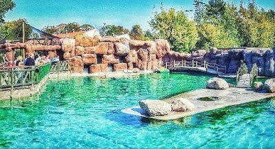 Foto de Opole Zoo