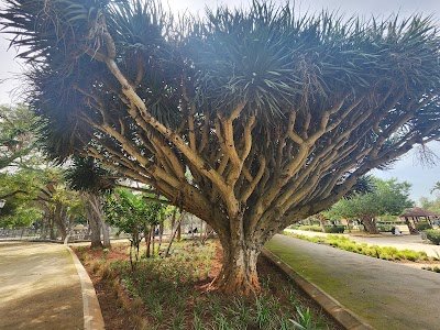 Foto de Nouzhat Hassan Garden