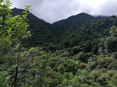 Foto de Parque Nacional Tapantí - Macizo de la Muerte