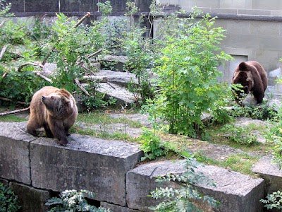 Foto de Parque dos Ursos