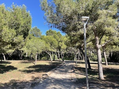 Foto de Parque Bosque La Ribera