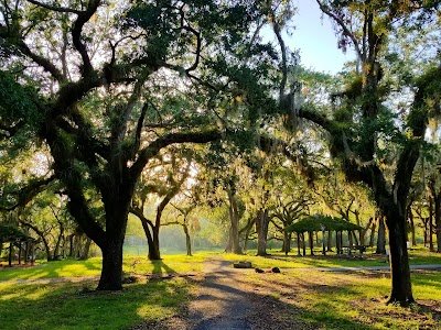 Foto de Matheson Hammock Park