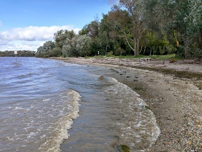 Foto de Seewiesen und Strand Im Sand Langenargen