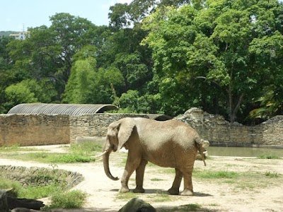 Foto de Caricuao Zoo