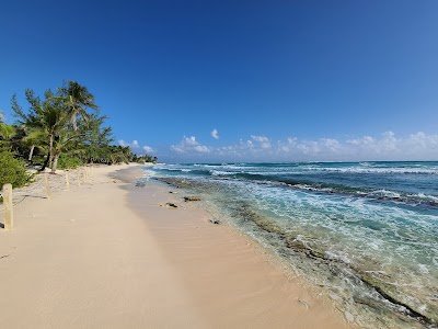 Foto de South Sound Public Beach