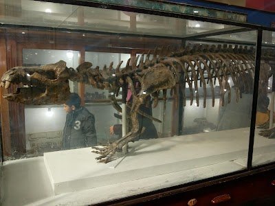 Foto de Egyptian Geology Museum