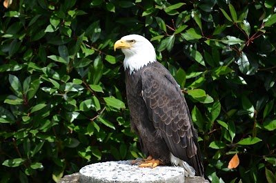 Foto de Zoo De Oliemeulen