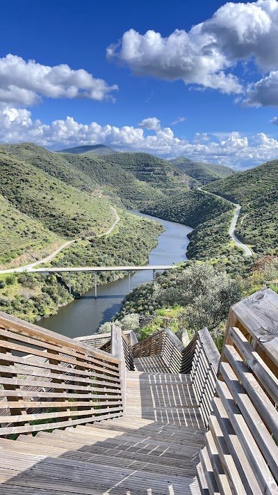 Foto de Museu das gravuras de Foz do Côa
