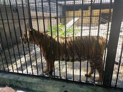 Foto de Hamma Zoological Park