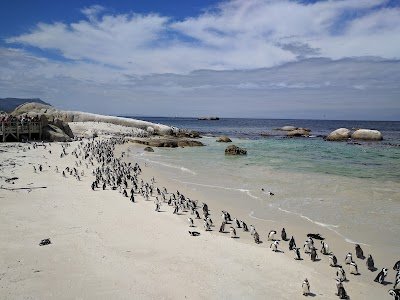 Foto de Boulders Beach