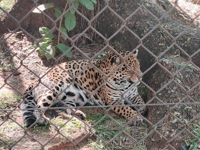 Foto de Zoológico de Assunção