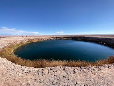 Foto de Ojos del Salar