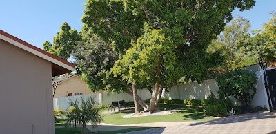 Foto de Cosy Palms Guesthouse