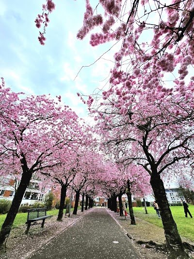 Foto de Kaarst Park