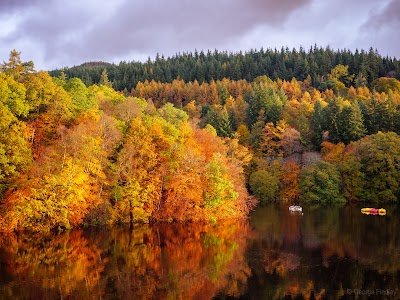 Foto de Faskally Forest