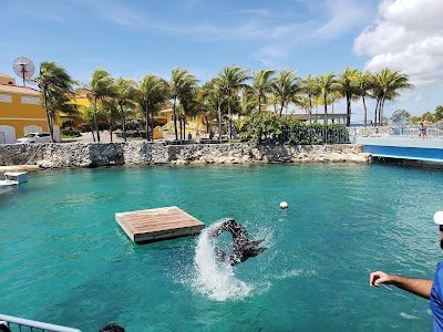 Foto de Curaçao Sea Aquarium