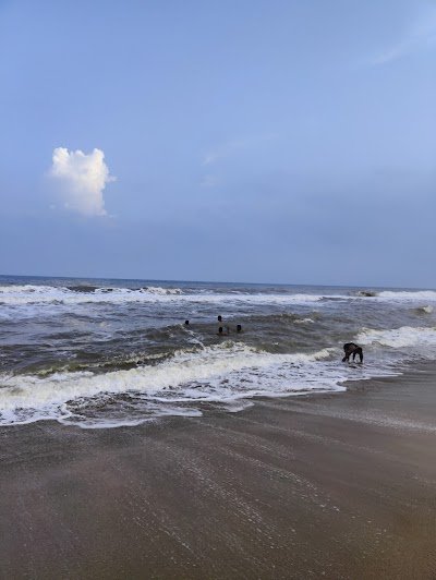 Foto de Auroville Beach