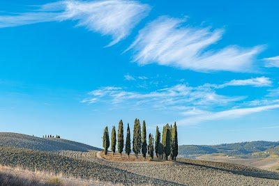 Foto de Cipressi di San Quirico d Orcia