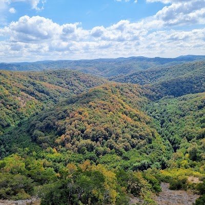 Foto de Strandzha Nature Park