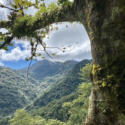 Foto de Parque Nacional La Tigra