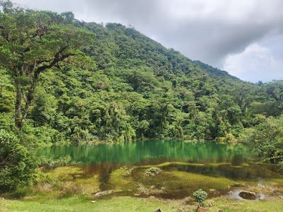 Foto de Parque Nacional Juan Castro Blanco