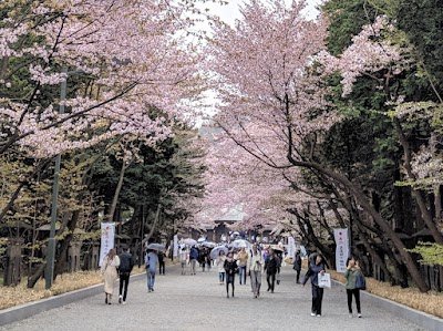 Foto de Parque Maruyama