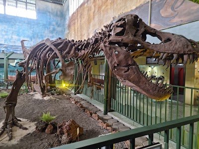 Foto de Museu de Ciências Naturais La Salle