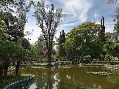 Foto de Jardín Botánico Martín Cárdenas