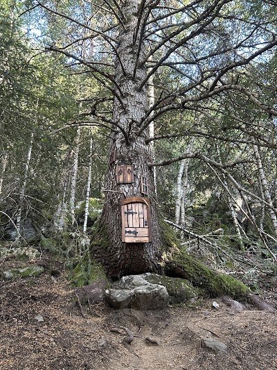 Foto de Macarulla: Bosc dels Menairons
