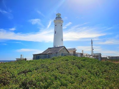 Foto de Cape Saint Francis Lighthouse