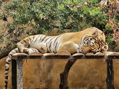 Foto de Natura Parc