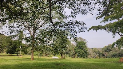 Foto de Entebbe Botanical Garden