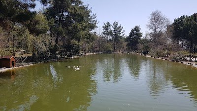 Foto de Kapıçam Nature Park