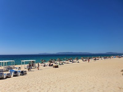 Foto de Praia da Comporta
