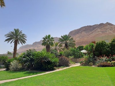 Foto de Ein Gedi Botanical Garden