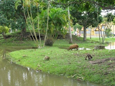 Foto de La Guaricha Zoo
