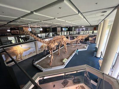 Foto de Iziko South African Museum