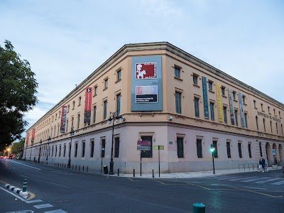 Foto de Museu da Pré História e da Cultura de València
