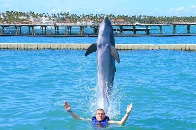 Foto de Dolphin Explorer
