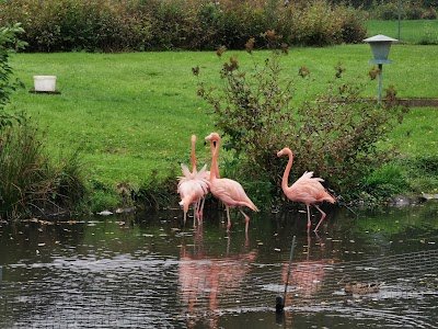 Foto de Kurpark Reinhardshausen