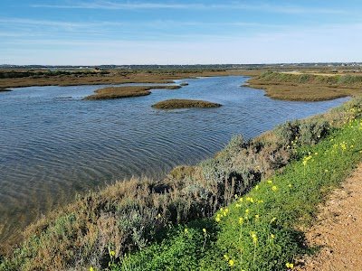 Foto de Marismas de Isla Cristina