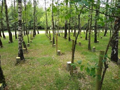 Foto de Paix Woods