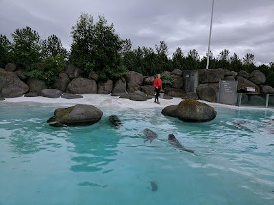 Foto de Reykjavík Park and Zoo