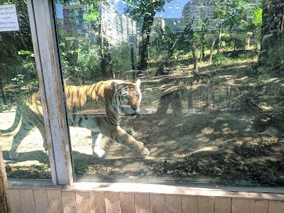 Foto de Tbilisi Zoo