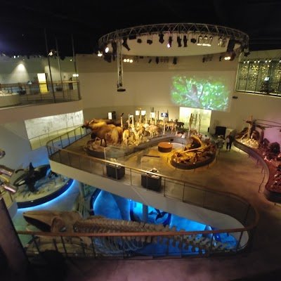 Foto de Naturama