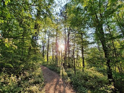 Foto de Länderwaldpark Silvaticum