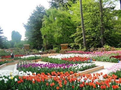 Foto de Parc Floral de Paris