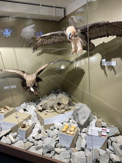 Foto de Hohe Tauern National Park exhibition King of the Skies